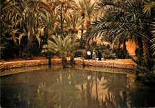 CPM Le Maroc Pittoresque Tinerhir 