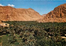 CPM Le Maroc Pittoresque Tinerhir Gorges du Todra 