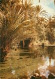 CPM Le Maroc Pittoresque Tinerhir 