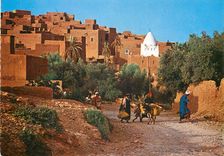 CPM Le Maroc Pittoresque Tinerhir Ane Donkey