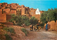 CPM Le Maroc Pittoresque Tinerhir Ane Donkey