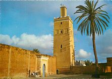 CPM Tiznit La Mosquee 