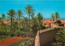 CPM Le Maroc Pittoresque Tiznit 