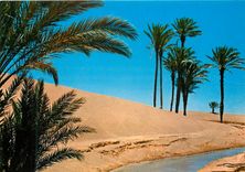 CPM Zagora Amziou Dunes de Sable 