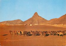 CPM Zagora Caravane au couchant 