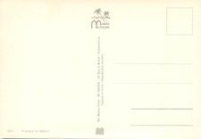CPM Souvenir du Sud Marocain 