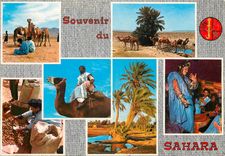 CPM Souvenir du Sahara 