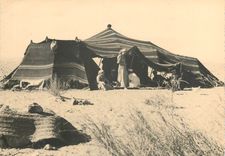 CPM Bedouins Tente