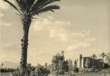 CPM Souvenir du Maroc Pittoresque 