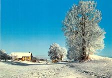 CPM Schweiz Winter Landschaft