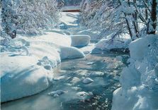 CPM Els und Schnee am Bergbach Le petit ruisseau en hiver