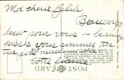 ETAS the Plain-USA-Virginia-State Capitol Public garden showing State Capitol City Hall and Richmond Richmond Hotel - CPR