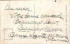 ETAS the Plain-USA-Virginia-Jefferson Richmond Hotel-car-flag - CPR