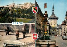 CPM Berne Ours