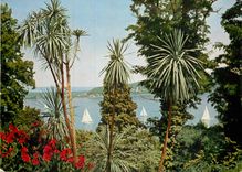 CPM Tropeninsel Mainau