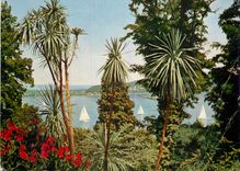 CPM Tropeninsel Mainau