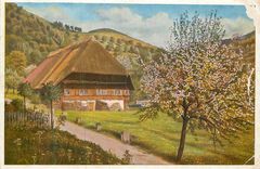 CPM Fruhling