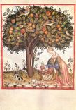 CPM Tree-Birds-Animals-Human