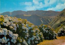 CPM Mountains S. Miguel Acores