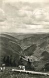 CPM Feldberg Schwarzwald Wiesetalblick
