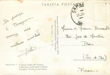 CPM Tarragona (Costa Dorada)Cathedrale Jardin dans le Cloitre