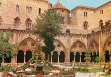 CPM Tarragona (Costa Dorada) Cathedrale Jardin dans le Cloitre