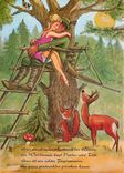 CPM Chasse Biche Renard