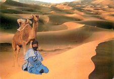 CPM Maroc infini dans l'immensite du desert l'homme et son compagno le dromadaire