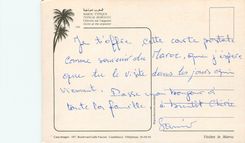 CPM Maroc typique Chevres sur l'arganier