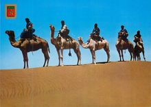 CPM Caravane de meharistas de m'hamid typique maroc Chameaux