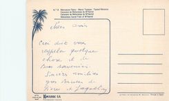 CPM Caravane de meharistas de m'hamid typique maroc Chameaux