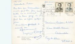 CPM Chameaux au paturage