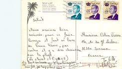 CPM Maroc typique chevres