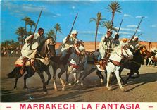CPM Maroc pittoresque la fantasia Chevaux