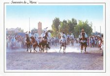 CPM Province du sud Chevaux Fantaisia