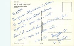 CPM Scenes et types du maroc fantasia