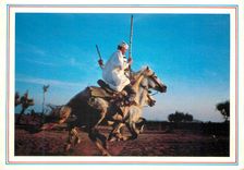 CPM Maroc fantasia