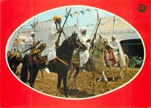 CPM Maroc typique Chevaux
