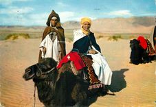 CPM Scenes et types du maroc chameliers dans le sud