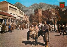 CPM Maroc paysan marocani Ane Donkey