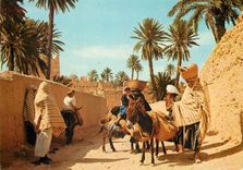 CPM Scenes et types du maroc Ane Donkey