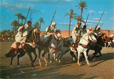 CPM Maroc typique la fantasia
