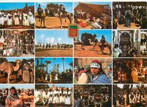 CPM Maroc typique divers aspects Chameau