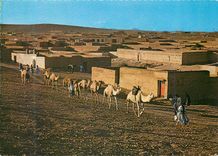 CPM Le maroc pittoresque goulimine au couchant du soleil