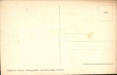 CPA Italy italia Lago di Como Cernobbio Panorama dal PAreo di Villa of Este