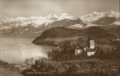 CPA Suisse Spiz mit den alpen