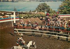 CPM Chile Rodeo Fiesta Chilena