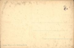 Swiss CPA Luzern Kapellbrucke und Wasserturn