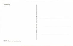 CPSM Suisse Gruyeres