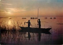 CPM Valencia Albufera Coucher du Soleil